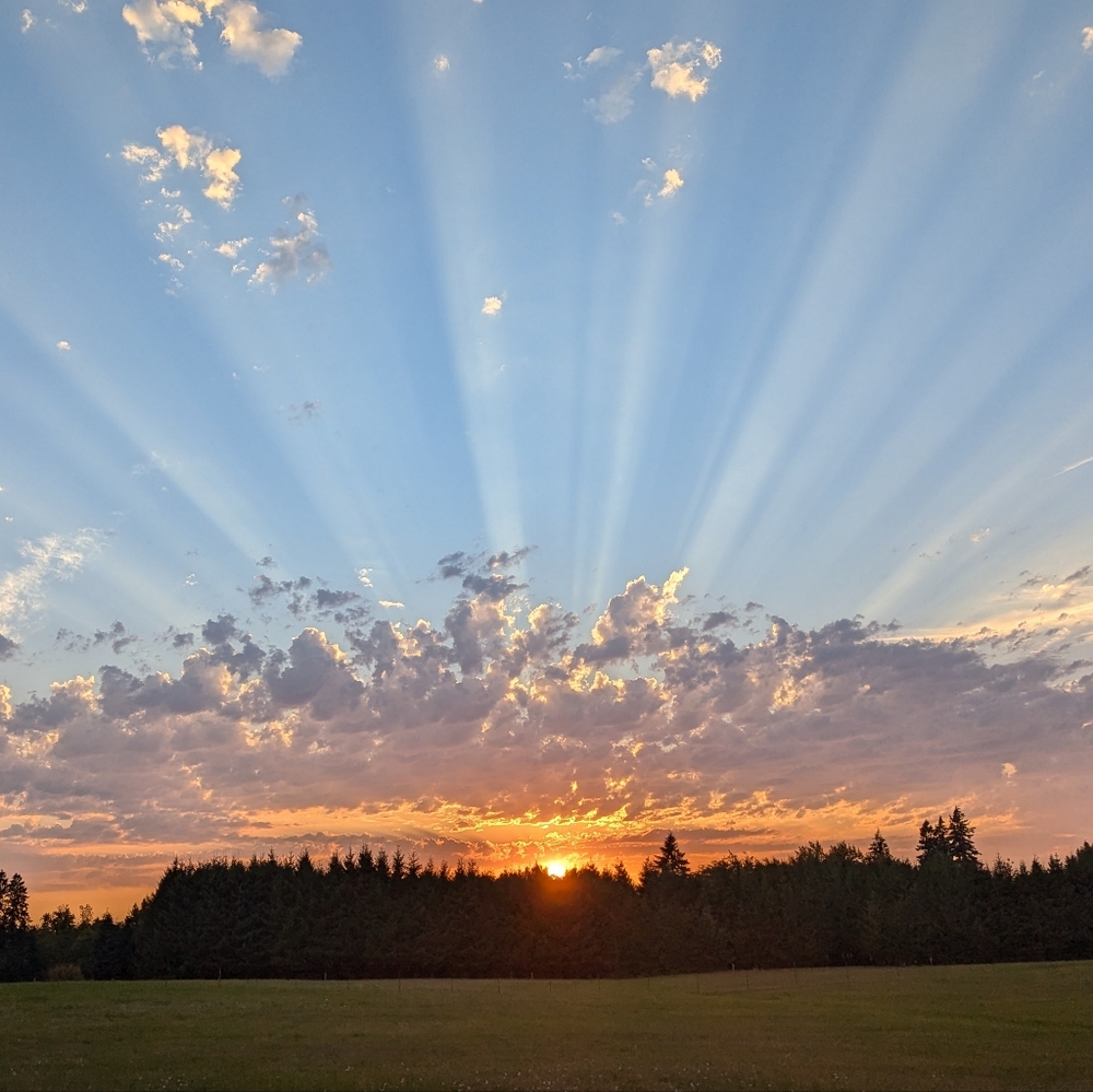 SHARE SHOW UNDER 25 9/17/24